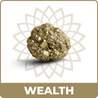 Wealth & Prosperity