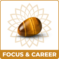 Focus&Career
