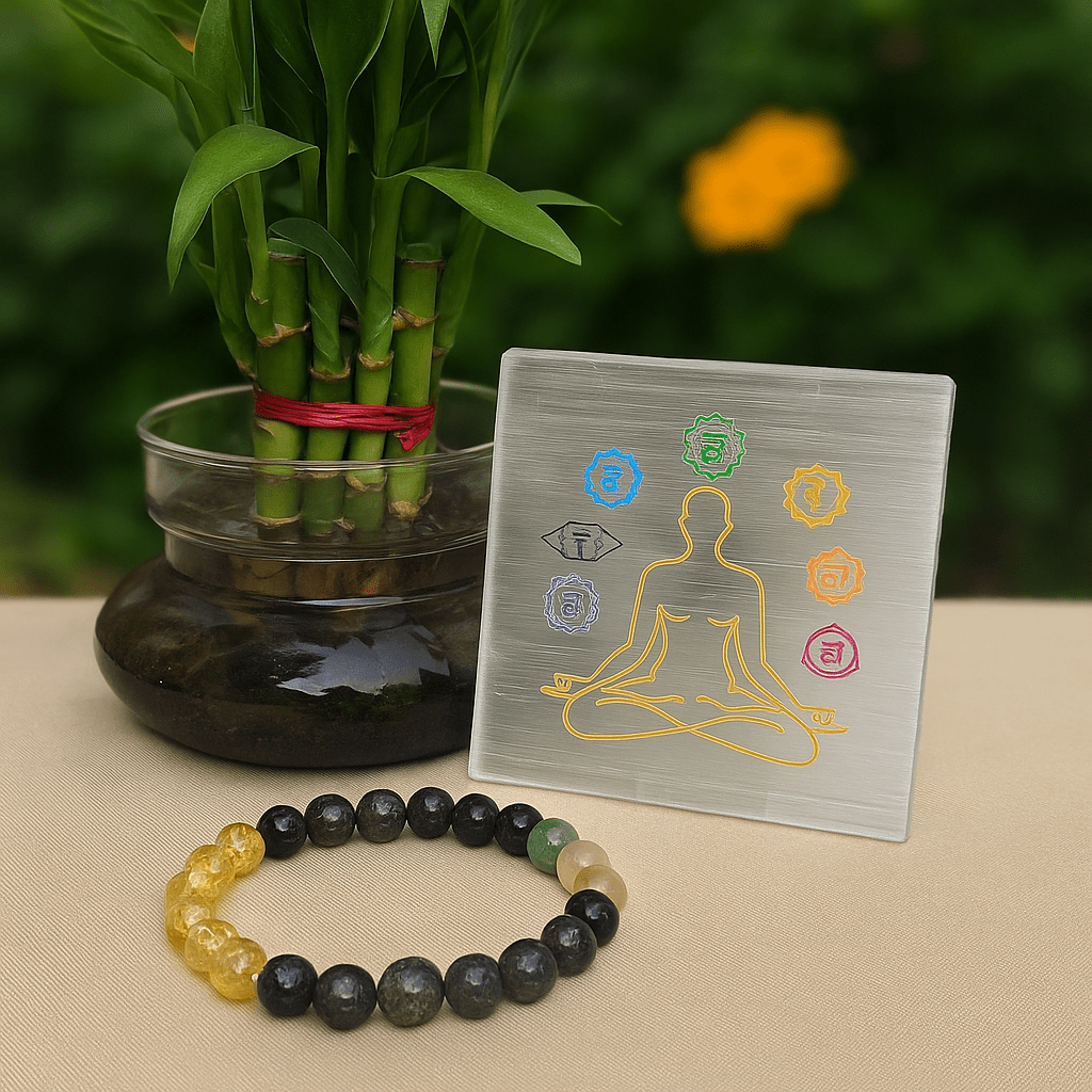 Dhan Vridhi Combo - Ankshaktiyaan by seemaa arora