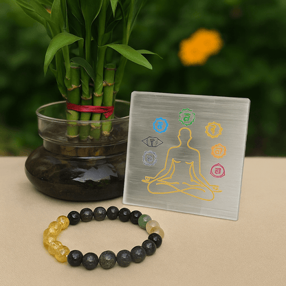 Dhan Vridhi Combo - Ankshaktiyaan by seemaa arora